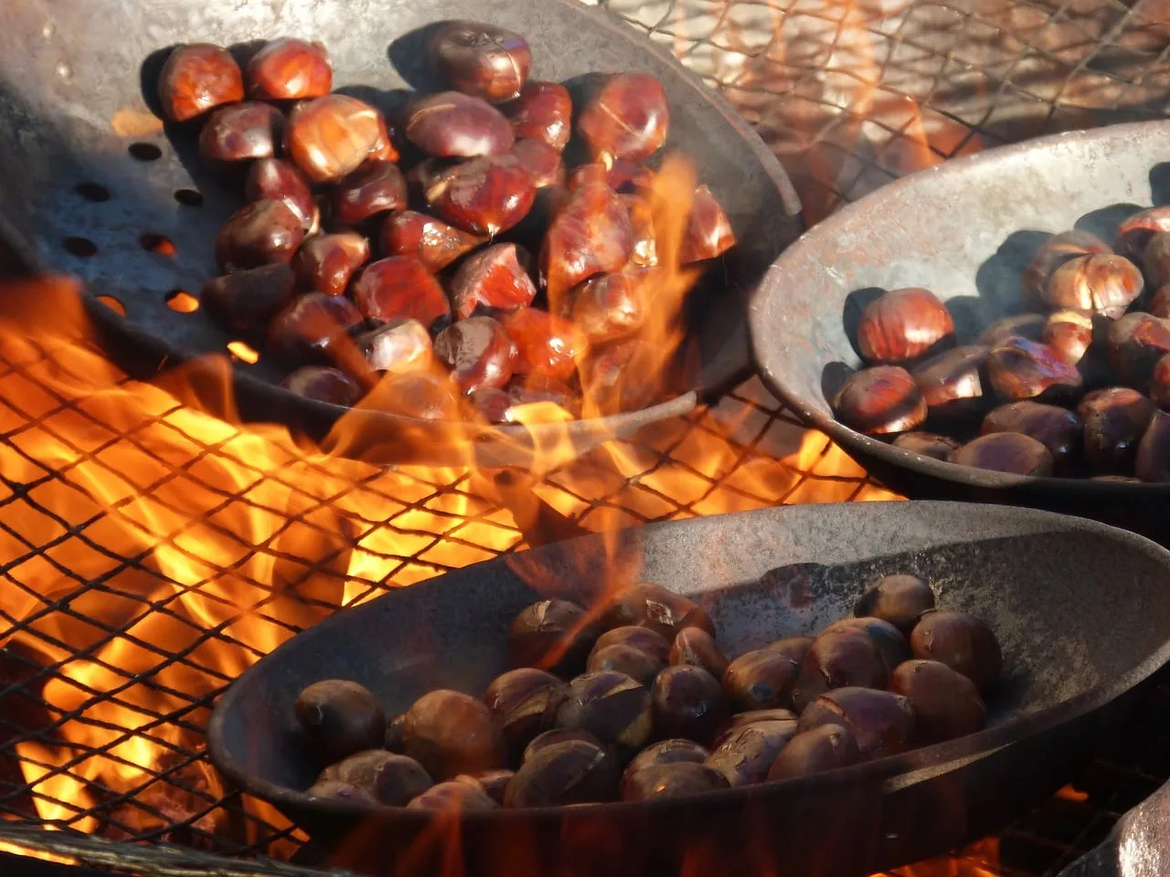 Cuisisner les marrons pour Noël