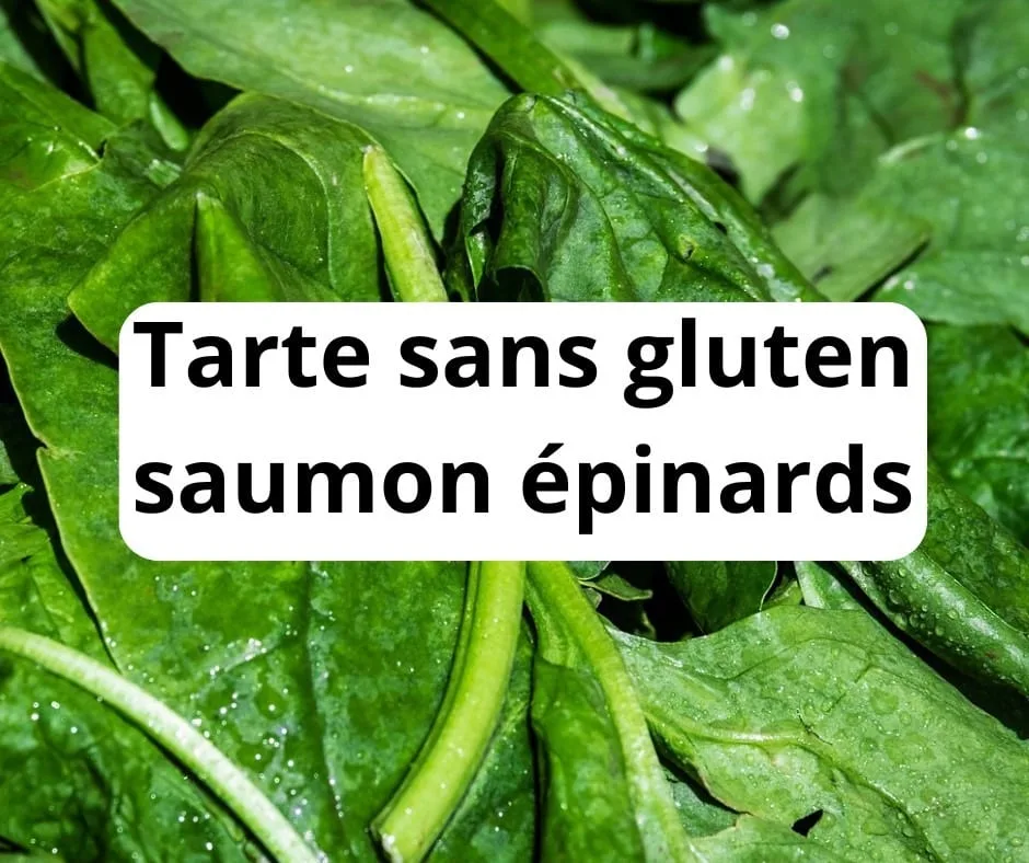 tarte sans gluten saumon epinards