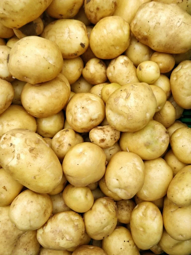 pommes de terre