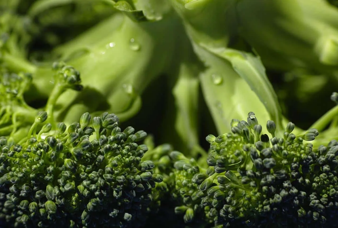 brocoli