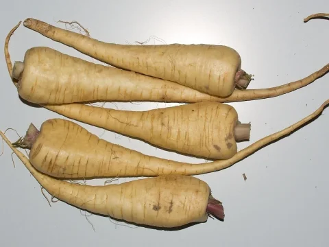 Cuisiner le panais