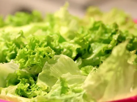 les differentes sortes de salades