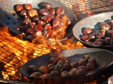 Cuisisner les marrons pour Noël