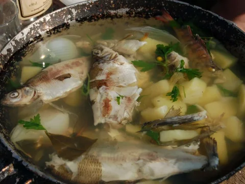Recette de la cotriade facile à réaliser