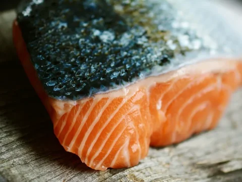 gravlax de saumon