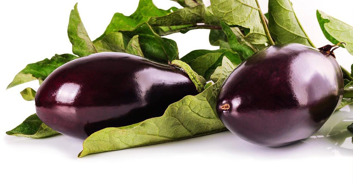 aubergine