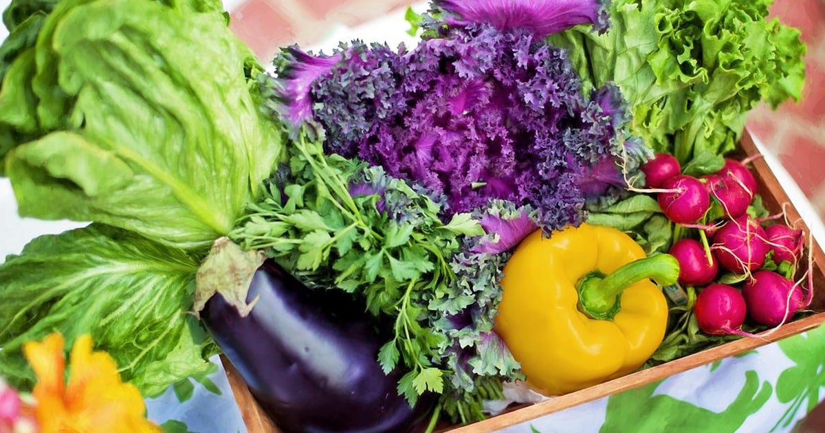 couleurs des legumes
