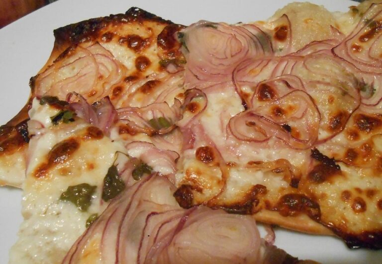 Recette de la tarte duo courgettes-oignons au chèvre0 (0)