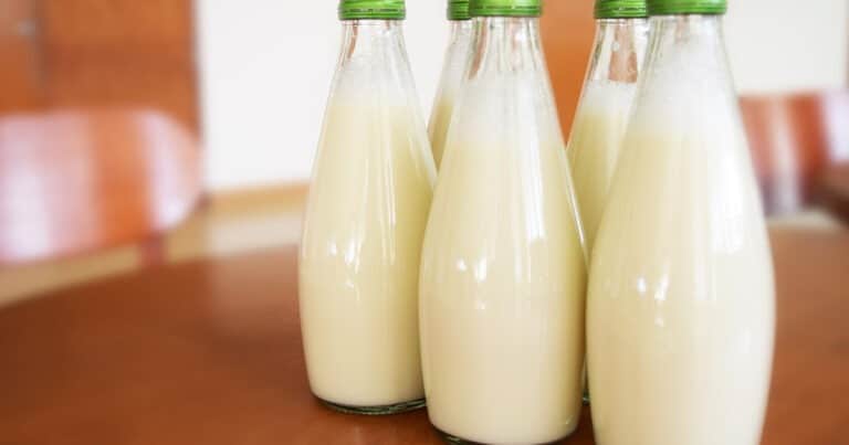 Lait UHT : Ce que cela veut dire – Différence avec le lait cru0 (0)