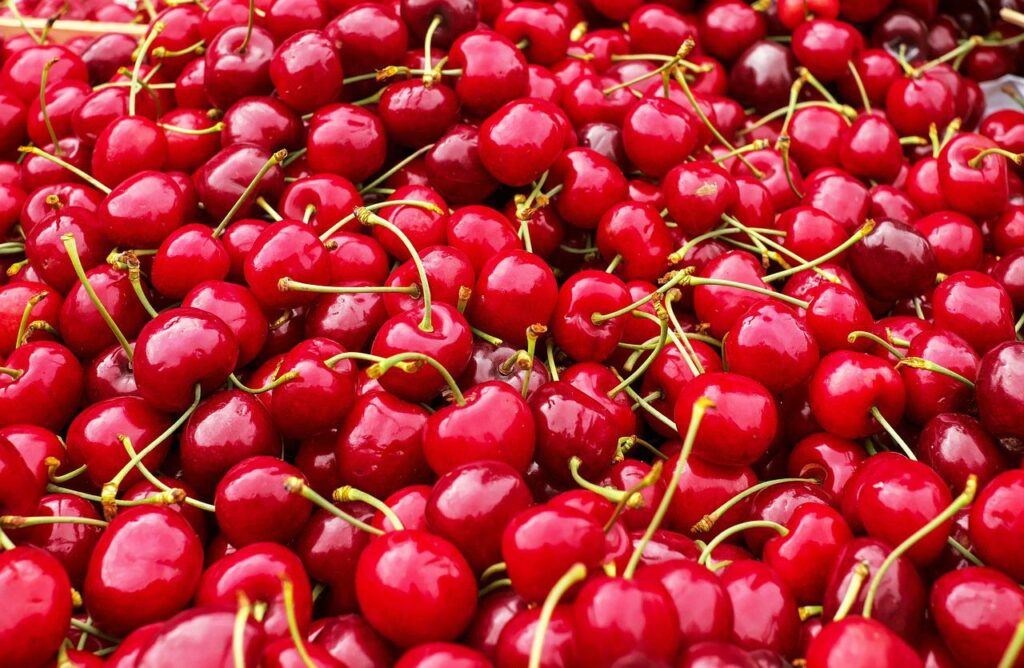 cerises du kirsch