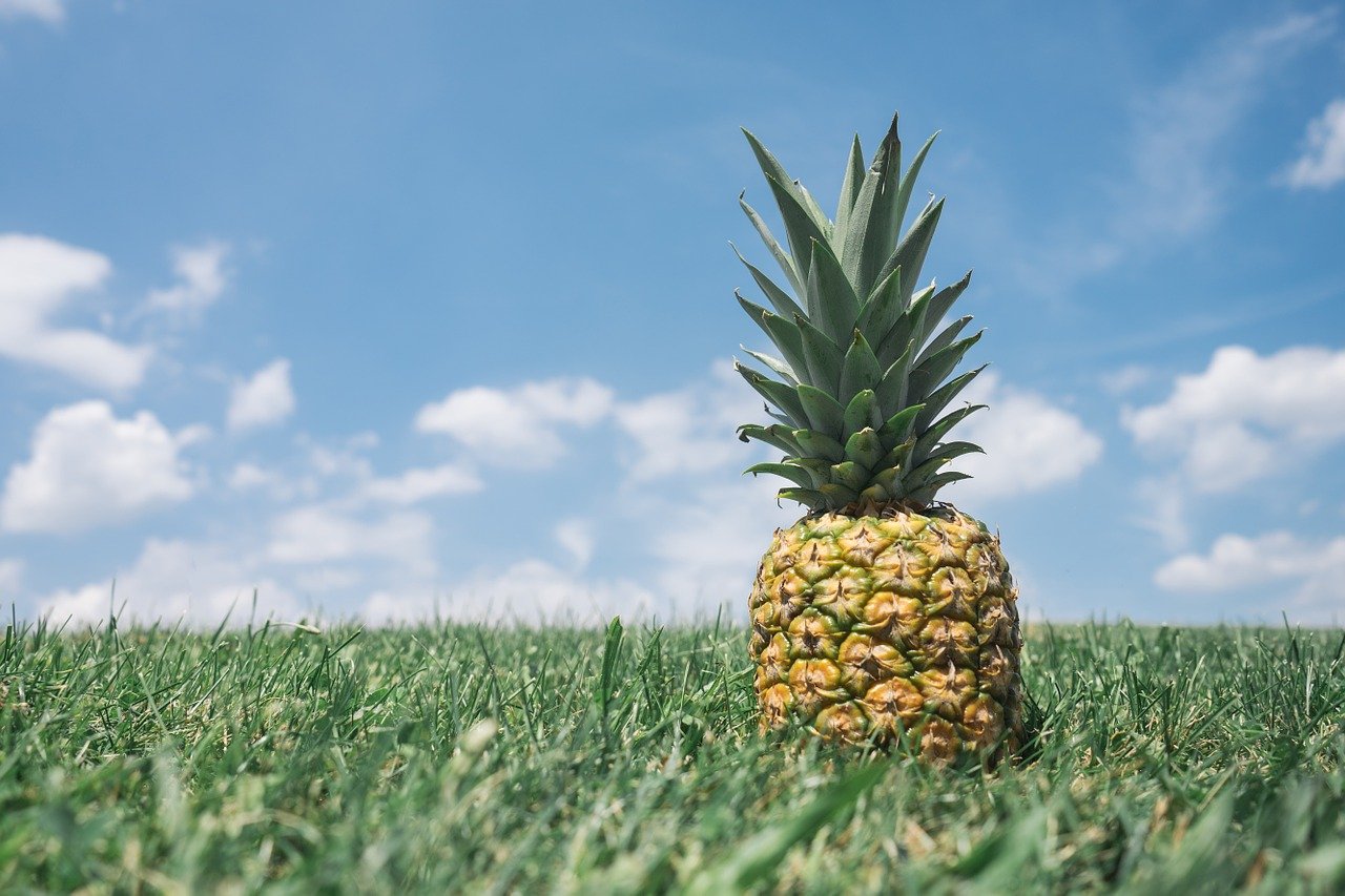 ananas